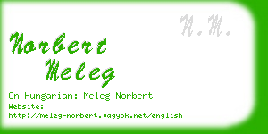 norbert meleg business card